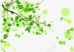 春日插图水彩插图春日树枝叶高清图片