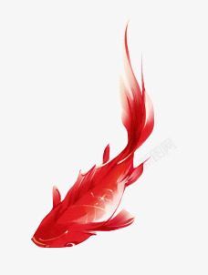 红色金鱼金鱼红色金鱼动物金鱼高清图片