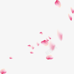 中式传统文艺漂浮花瓣粉色素材