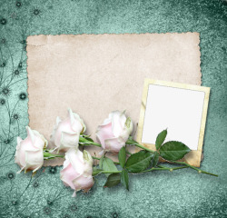 白玫瑰背景相框素材