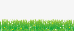 乡间的绿色的小草高清图片