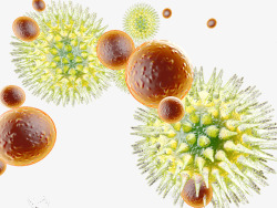 生物微球有害微生物细菌库高清图片