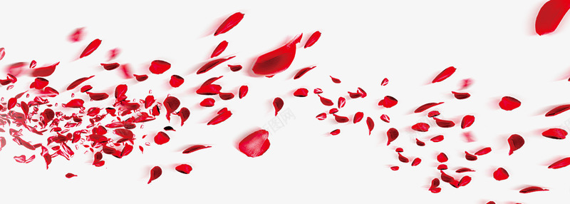 红色花瓣漂浮装饰png免抠素材_88icon https://88icon.com 漂浮 红色 花瓣 装饰