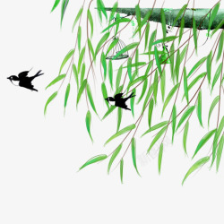 扁平化燕子绿色垂柳植物自然环境元素高清图片
