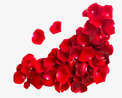 红色玫瑰花堆积在一起素材