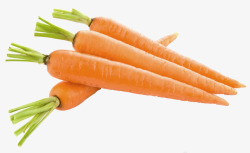 蔬菜兔子红色胡萝卜素材