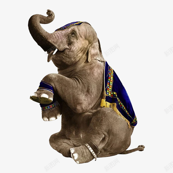 坐着的大象实物图psd免抠素材_88icon https://88icon.com 侧面大象 动作 动物 可爱的 坐着 大象 实物图 鼻子