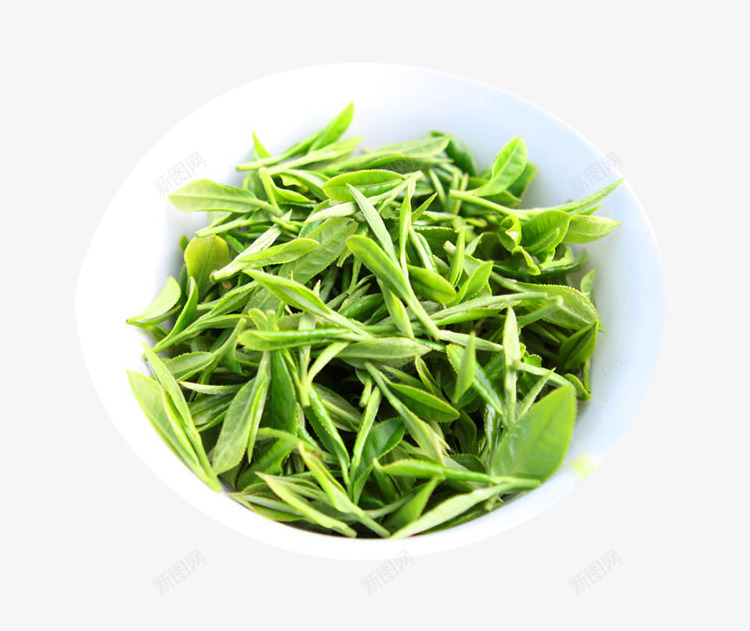 展开的毛尖茶底png免抠素材_88icon https://88icon.com 展开茶底 毛尖茶 茶底嫩芽 茶底茶叶 过水茶叶 雀舌绿茶