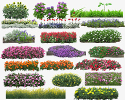 鲜花背景素材花丛草堆高清图片