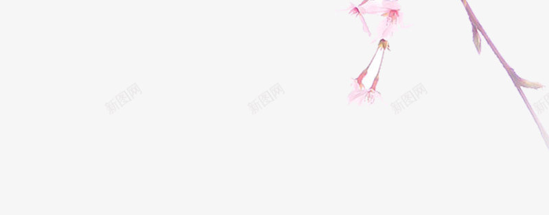一枝樱花png免抠素材_88icon https://88icon.com 樱花 樱花免抠 粉色樱花 花枝 花树