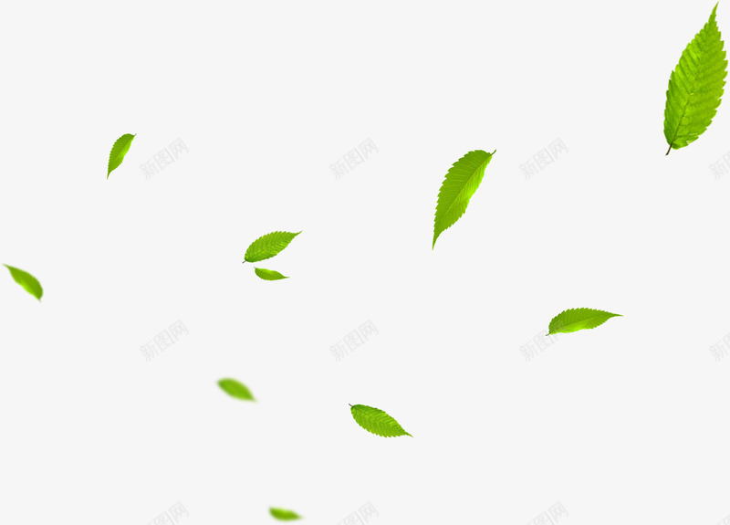 绿色漂浮春季树叶装饰png免抠素材_88icon https://88icon.com 春季 树叶 漂浮 绿色 装饰