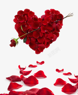 花瓣组合矢量素材爱心玫瑰花瓣组合爱心植物高清图片