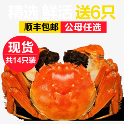 腌制海鲜大闸蟹河蟹主图高清图片