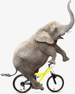 大象骑自行车素材