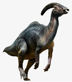 远古时期的动物副栉龙属灭绝生物实物高清图片