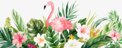 粉红花丛火烈鸟走在草丛里手绘高清图片