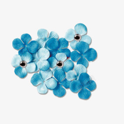 蓝色花瓣散落一地素材