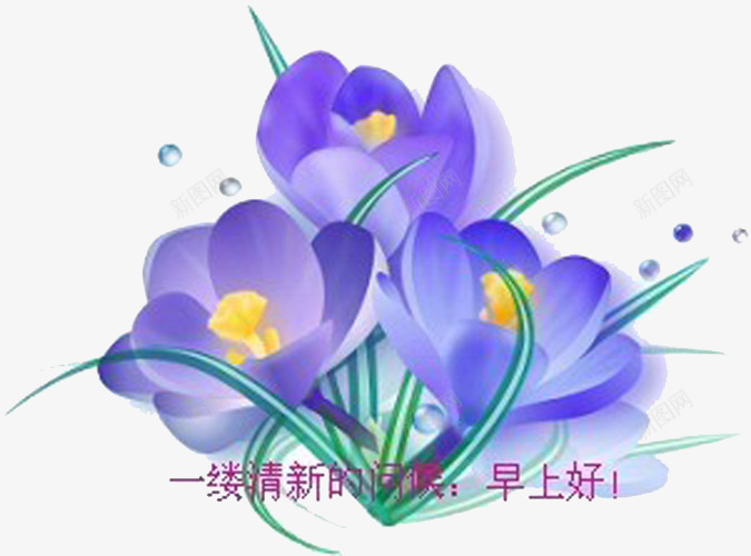 一缕清香png免抠素材_88icon https://88icon.com 一缕 早上好 早安字体 早安问候语 清香 英文早上好 问候 鲜花