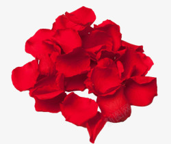 落地花瓣一堆红色玫瑰花瓣高清图片