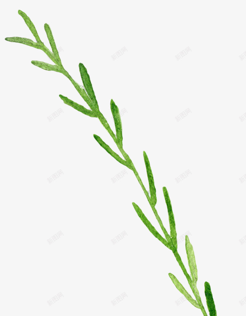 叶子png免抠素材_88icon https://88icon.com 叶子 婚庆素材 婚恋装饰 手绘 树叶