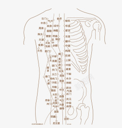 人体经络图人体穴位图高清图片