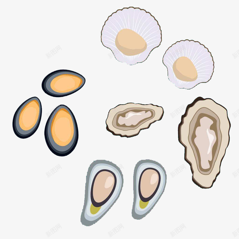 各种贝类png免抠素材_88icon https://88icon.com 卡通手绘 扇贝 海鲜简笔画 装饰 贝壳 食品餐饮