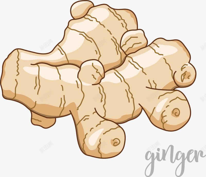 食材做食品用的原料png免抠素材_88icon https://88icon.com 优质原料 做食品用的原料 化工原料 天然 天然原料 姜块 烘焙原料