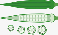 绿色秋葵矢量图素材