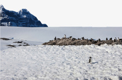 南极风景图素材