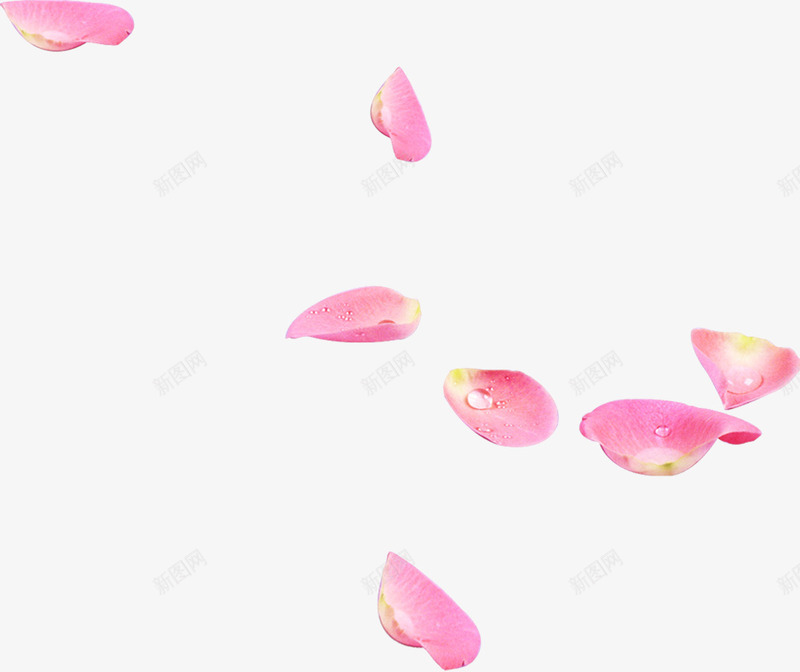 水珠飘舞粉色花瓣png免抠素材_88icon https://88icon.com  粉色 花瓣 桃花 飘舞 露珠 水珠 春夏季节
