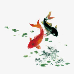 绿色玫红色黑色两条小鱼儿在湖水边游高清图片