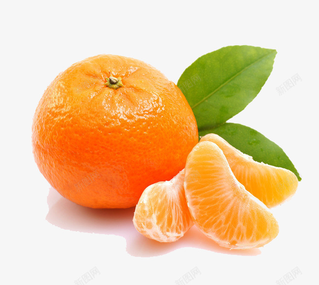 橘子png免抠素材_88icon https://88icon.com 健康水果 新年橘子 新鲜水果 橘子 橙子 真实水果