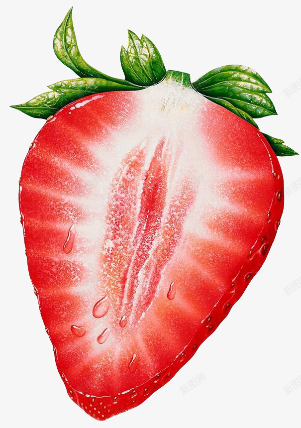 草莓png免抠素材_88icon https://88icon.com 切半草莓 半个 夏季水果 草莓横切面