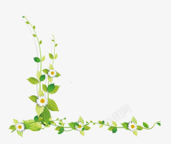 绿色手绘藤蔓花朵装饰图案素材