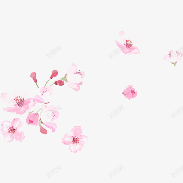 手绘康乃馨水彩画38节献礼png免抠素材_88icon https://88icon.com 康乃馨 感恩母亲节 手绘康乃馨 母亲礼物 母亲节 母亲节促销 母亲节康乃馨 母亲节快乐 母亲节特惠 水彩画 粉色花 花