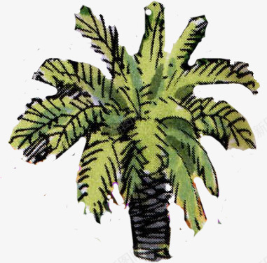 手绘椰树沙滩海报png免抠素材_88icon https://88icon.com 椰树 沙滩 海报
