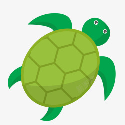 可爱海龟卡通可爱的海龟高清图片