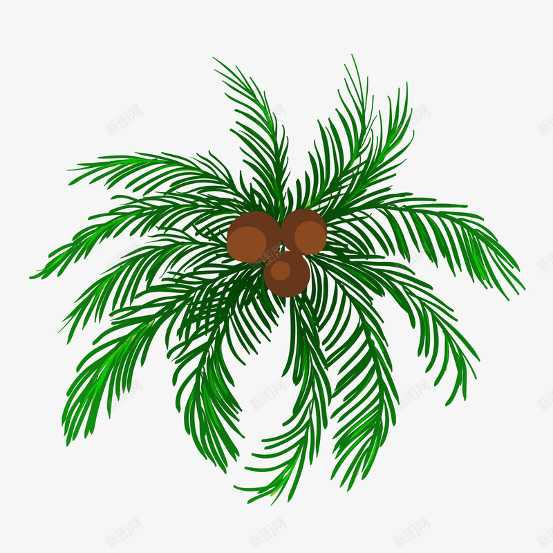 卡通手绘俯视图植物png免抠素材_88icon https://88icon.com 俯视图 手绘 植物 椰子树 椰子树俯视图 椰子树顶视图 沙滩 海边 绿叶