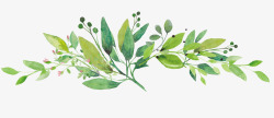 枣树彩绘叶子青菜叶子矢量图高清图片