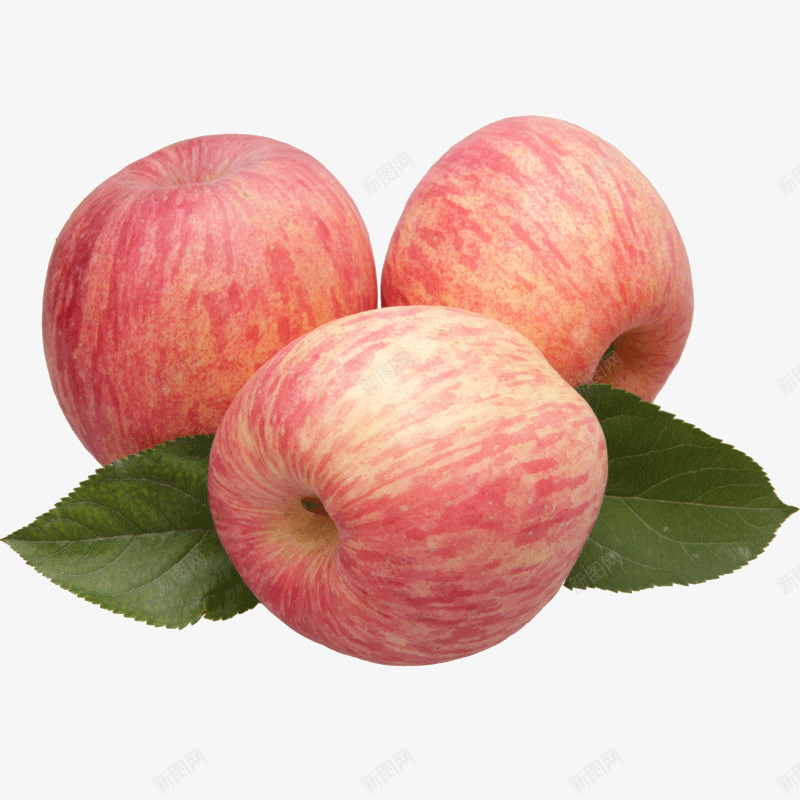 新鲜红富士png免抠素材_88icon https://88icon.com 三个苹果 大苹果 栖霞苹果 水果 红富士 红苹果 苹果 苹果包装 苹果销售