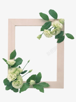 木质相框白色花朵相框素材