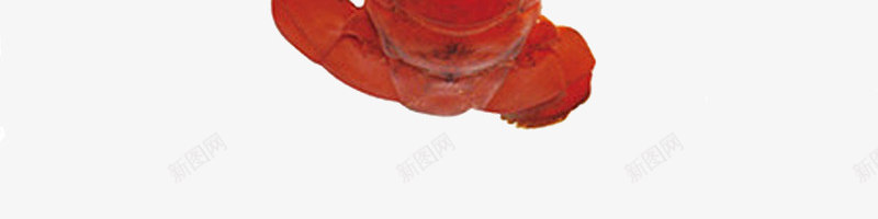 鲜美小龙虾png免抠素材_88icon https://88icon.com 单页 小龙虾 海报 特色 美食 鲜美