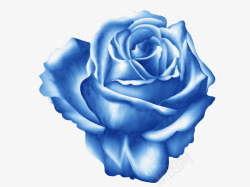 手绘蓝色玫瑰花素材