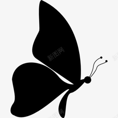 矢量蝴蝶蝴蝶形状的侧面面对右图标图标