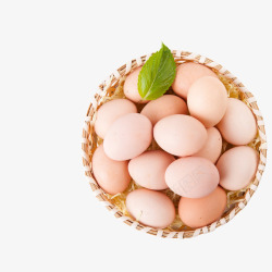 绿色展板模版一筐新鲜鸡蛋高清图片