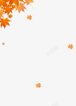 秋天枫叶装饰元素素材