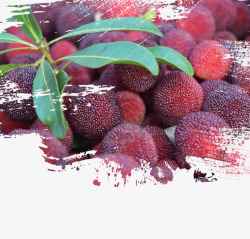 杨梅的海报水果海报之美味杨梅高清图片