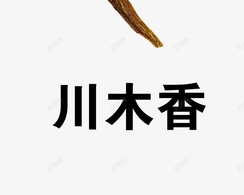 川木香png免抠素材_88icon https://88icon.com 中药 医疗保健 本草纲木 百草 草药 药材