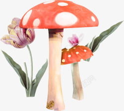 重拾记忆重拾童真蘑菇花朵高清图片