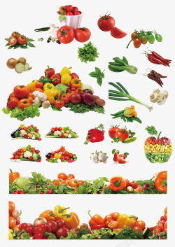 矢量蔬菜合集蔬菜合集高清图片